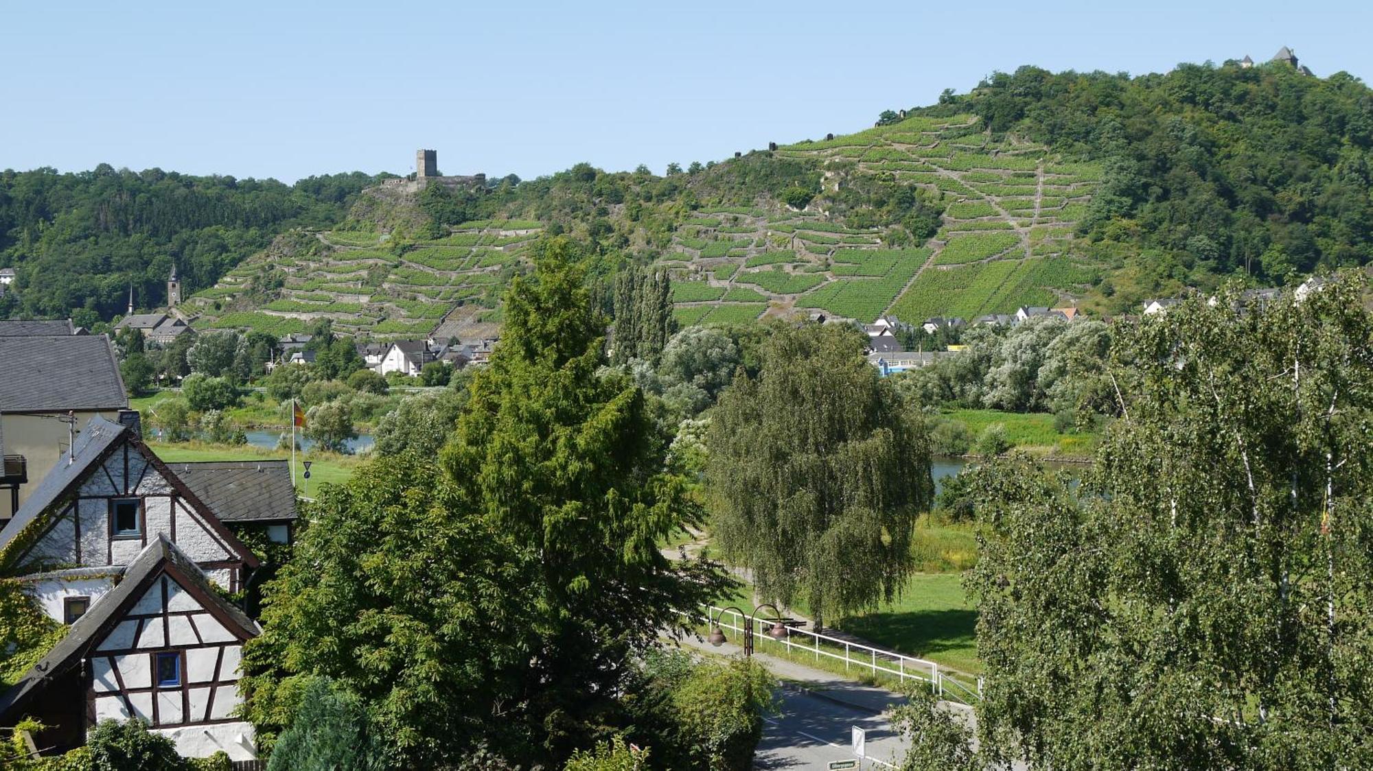 Hotel-Garni-Kachelburg Dieblich Exteriér fotografie